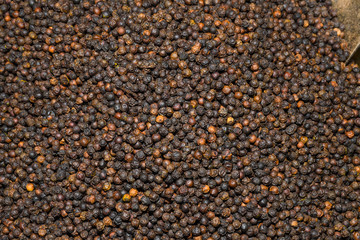 Mixed peppercorns background. Different colored peppercorns, close up.