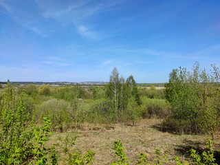 Obraz premium gray meadow among green trees against a beautiful blue sky on a sunny day
