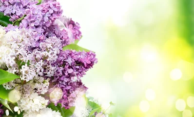 Foto op Aluminium Fresh lilac flowers © neirfy