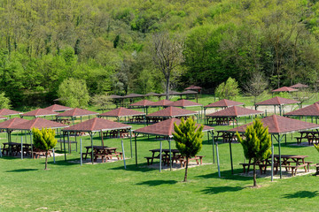 Green picnic areas in the forest in open areas