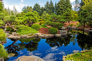 View of the pond of the Botanical garden in Denver,Colorado,USA. - obrazy, fototapety, plakaty