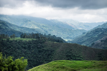 Misty mountain in Valle del Cocora, Colombia