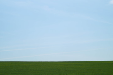 Fototapeta premium green and blue sky