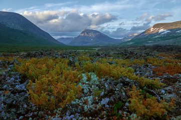 Fototapeta premium Volcanic valley. Volcanic solidified lava and extinct volcano.