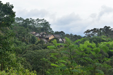 Fototapeta na wymiar view of the village in the mountains. Traditional house of Baduy people. isolated village in Indonesia