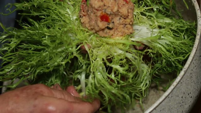 Elderly woman's hands filling the inside of curly endive with breadcrumbs, black olives, tomatoes, eggs, oregano, garlic, parsley, salt. Vegetarian version. Typical Neapolitan dish of peasant origin.
