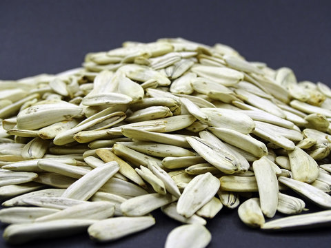 Sunflower seeds, rich in vitamin protein and fat                           