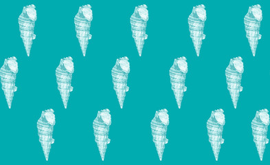 Regular sea shell patter in white on turquiose background