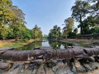 Nature in Siem Reap, Cambodia, February 2020