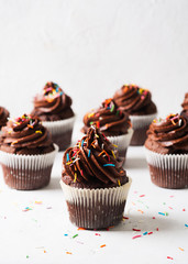 Chocolate cacao cupcakes with sprinkles, mothers or fathers day concept