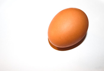 Fresh and Natural Organic Brown Egg