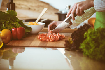 Unknown human hands cooking in kitchen. Woman slicing red tomatoes. Healthy meal, and vegetarian food concept