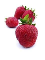 Organic strawberries from the field in white and black background