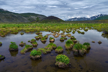 Marshy plain. A marshy plain surrounded by mountains.