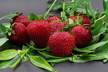 Organic strawberries from the field in white and black background