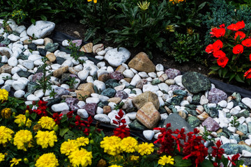 Multicolored flower bed. beautiful background of garden flowers.