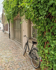 Fototapeta na wymiar Idyllischer Hauseingang mit Fahrrad