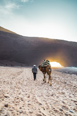 a camel walks on the beach on the Atlantic ocean
