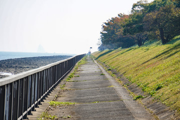 Fototapeta premium 大きな川沿いの遊歩道 東京・荒川の河口付近にて