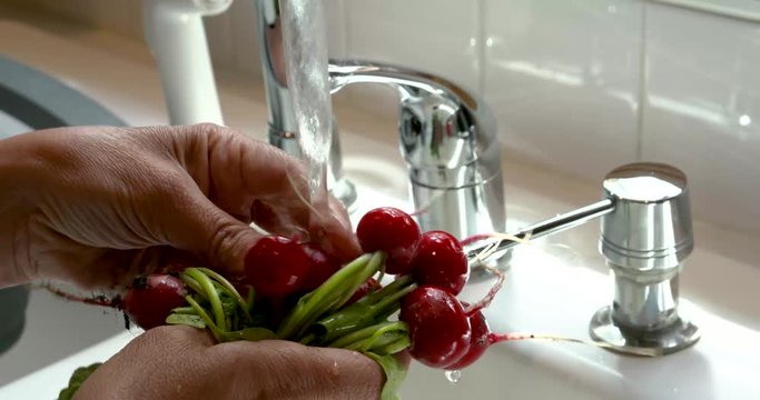 freshly picked radishes are cleaned under faucet running water with sound
