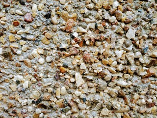 sea shells background