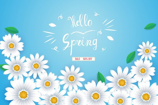 Hello spring text, Floral pattern, Card for spring season,  Promotions, Brochure,  Voucher  discount, Poster greeting,invitation, template, banner, poster.