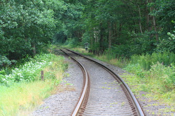 Fototapeta premium railway in the forest