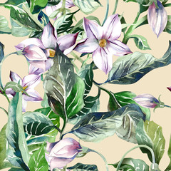 Potatoes Flowers Seamless Pattern. Watercolor Illustration.