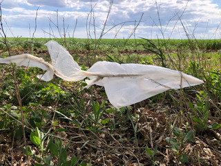 Pollution of nature and the environment. Social issue. Plastic bag thrown into the box.