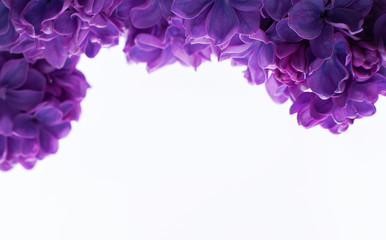 Fototapeta na wymiar Greeting card from lilac on a white background