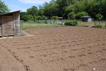 Jardin potager de ville, jardin d'ouvrier