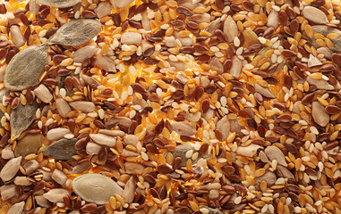 Seeds of different types