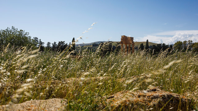 Tempi di Agrigento