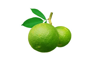 
Green lemons on a white background