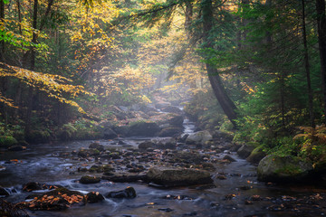 Sun light and fog on an autumn stream in the Adirondak of New York - near Forked Lake Dam