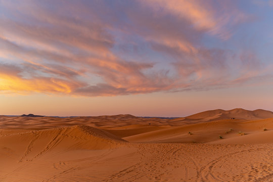 panoramic view of the desert in North Africa © Дмитрий Леонов
