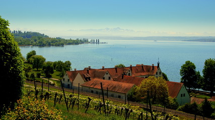 Aussicht von oben auf den Bodensee bei Birnau mit Weinberg und einem Weingut an sonnigem Tag
