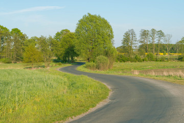 Kręta, wąska,. wiejska asfaltowa droga.
