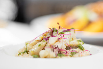 Chef food decorates with microgreens sprouts fish dish. Concept high art cooking