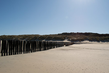 wooden groynes with dunes at the beach in Zeeland, Holland