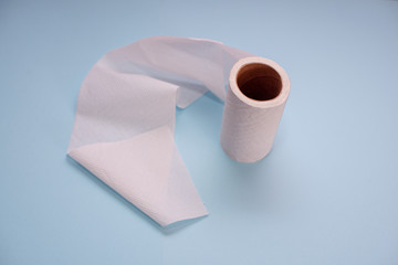 Near empty toilet paper roll against isolated background