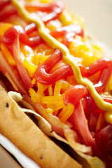 hot dog with ketchup