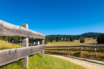 A rustic fence borders a pasture in the Trentino Dolomites. Wooden boards aged by the sun and rain. An autumn day, the blue color dominates the cloudless sky. Spruce woods in the background. Italy.