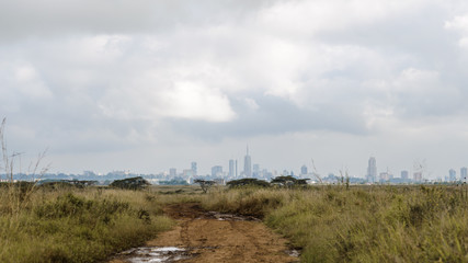 Nairobi National Park