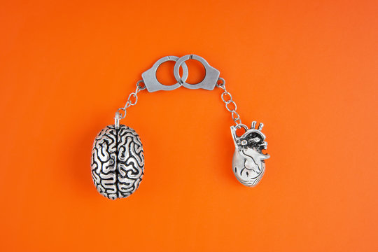 Flat lay of miniature anatomical copies of human brain and heart linked with handcuffs isolated on orange background. Feelings and mind connection concept.