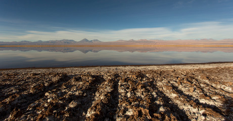 View of Chaxa lagoon in salt flat