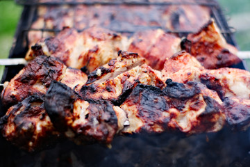 grilled meat on the grill