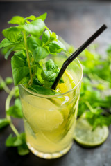 Mojito cocktail with lime and mint on the rustic background. Selective focus. Shallow depth of field.