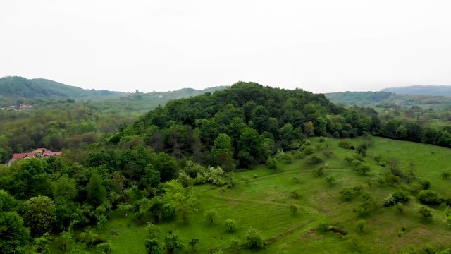 Aerial top view of summer green trees in forest background, Valcea, Romania. Drone photography. Coniferous and deciduous trees, forest road. Beautiful panoramic photo over the tops of pine forest.