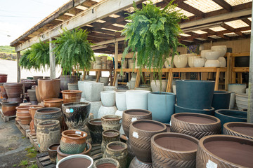 Pottery Display